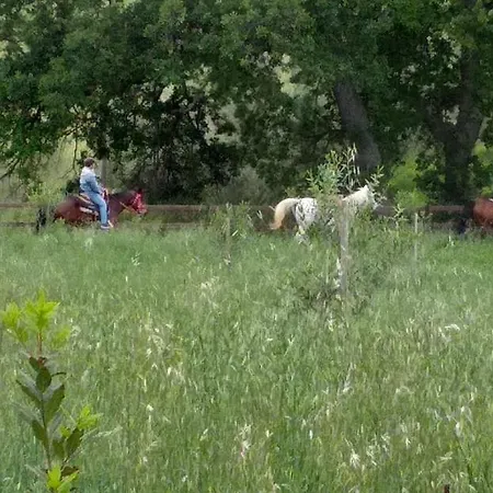 Appartamento Casarmonica