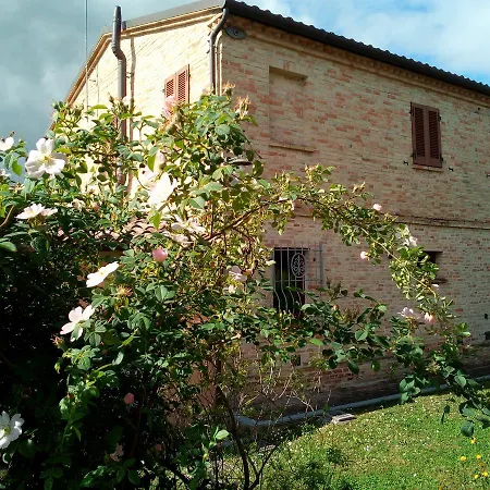 Casarmonica Osimo